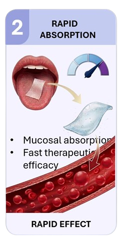 Rapid Absorption